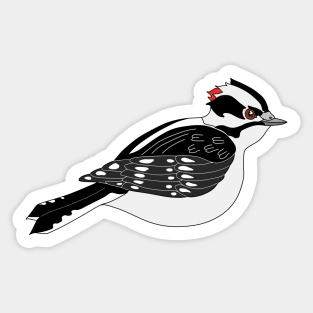 Downy Woodpecker Who Means Business Sticker